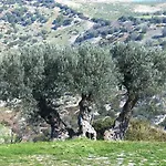 Grassetti مونتيجيوردانو