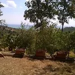 Grassetti Bauernhof *