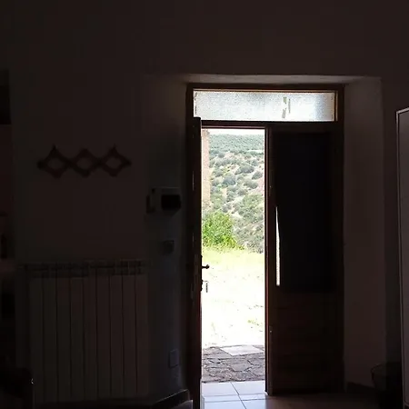 Grassetti