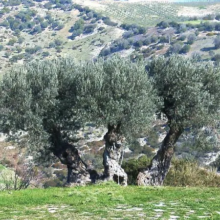 Grassetti Montegiordano