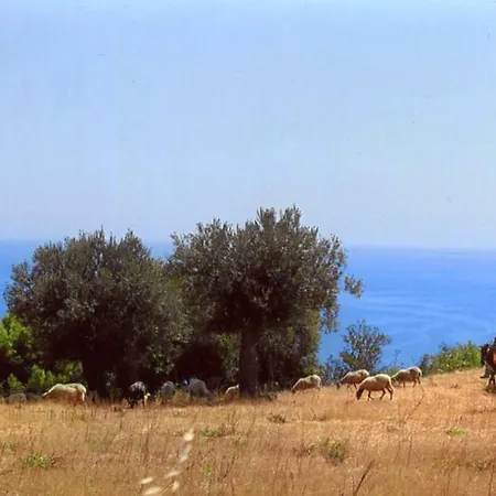 Séjour à la ferme Grassetti *
