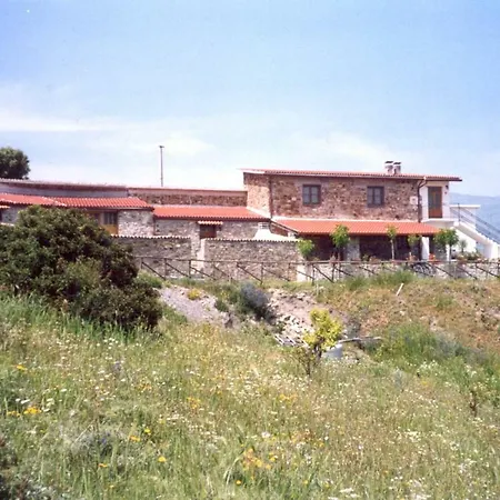 Grassetti