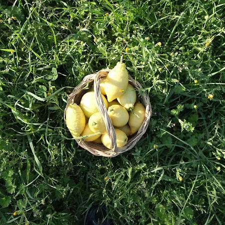 Séjour à la ferme Grassetti *