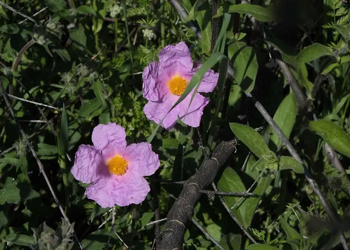 Bauernhof Grassetti Montegiordano