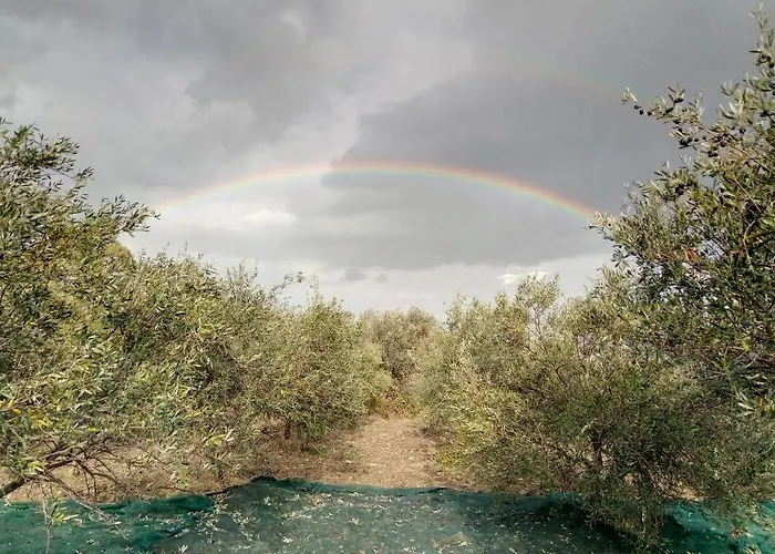 Grassetti 农家乐 *