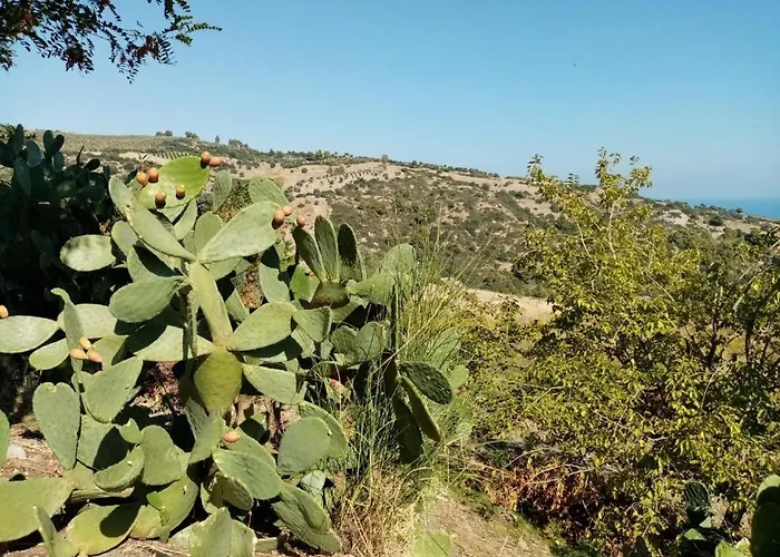 Grassetti Montegiordano