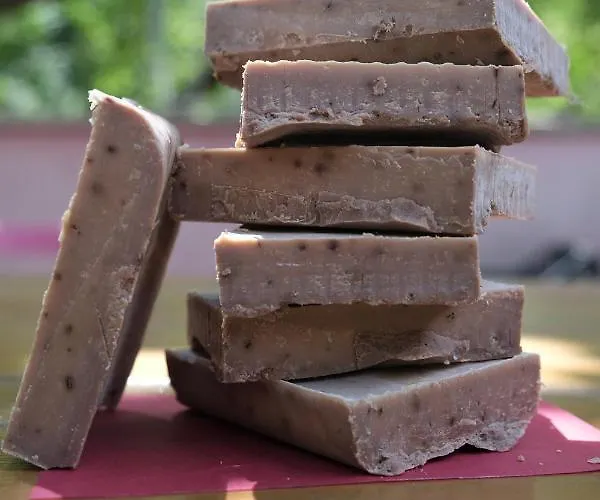 Grassetti Séjour à la ferme Montegiordano