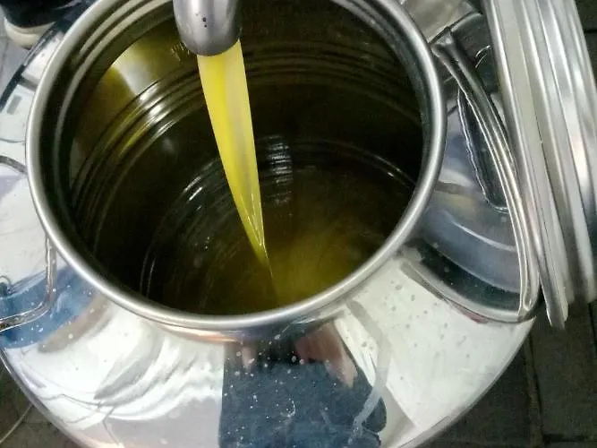 Grassetti 农家乐 *