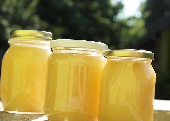 Grassetti 蒙泰焦尔达诺