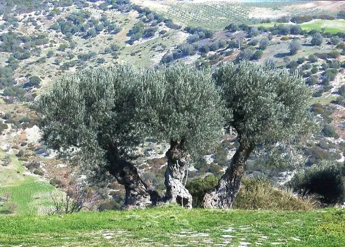 Grassetti Montegiordano