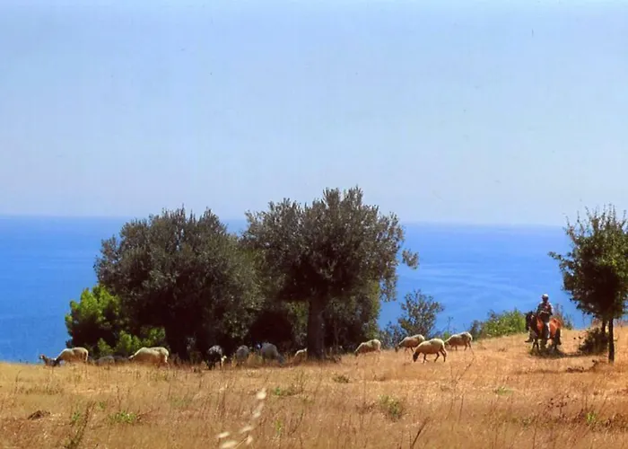 农家乐 Grassetti *