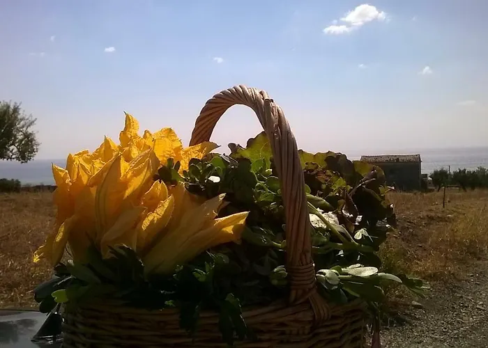 Grassetti Séjour à la ferme