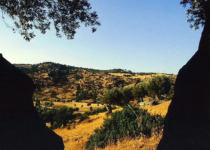 Grassetti * 蒙泰焦尔达诺