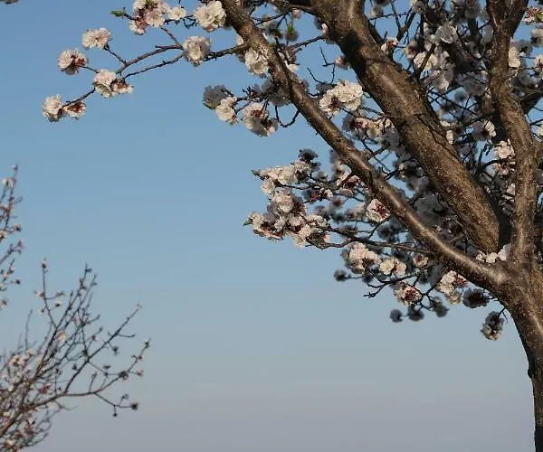 Grassetti * Montegiordano